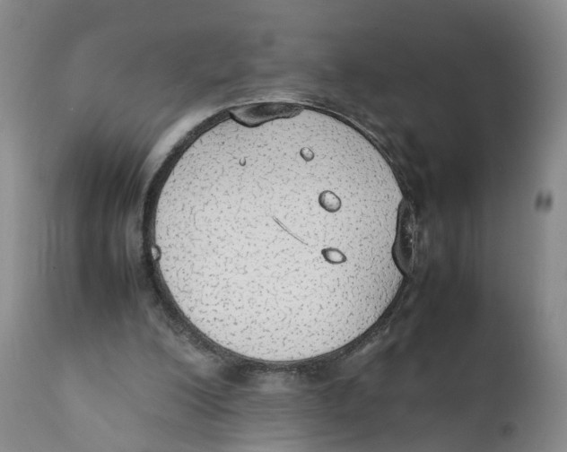 X0000111250200200907231601