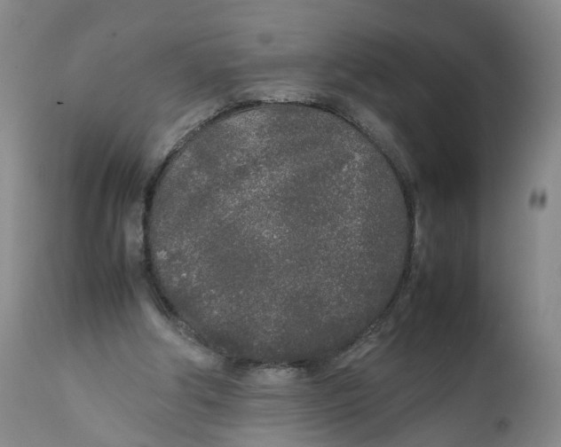 X0000111250202200907231601