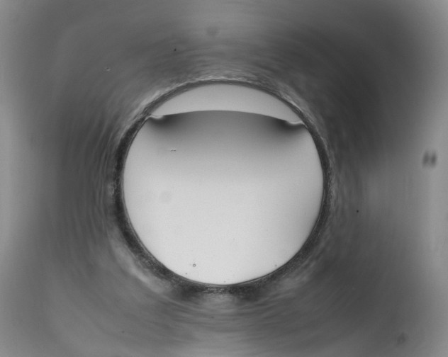 X0000111250203200907231601