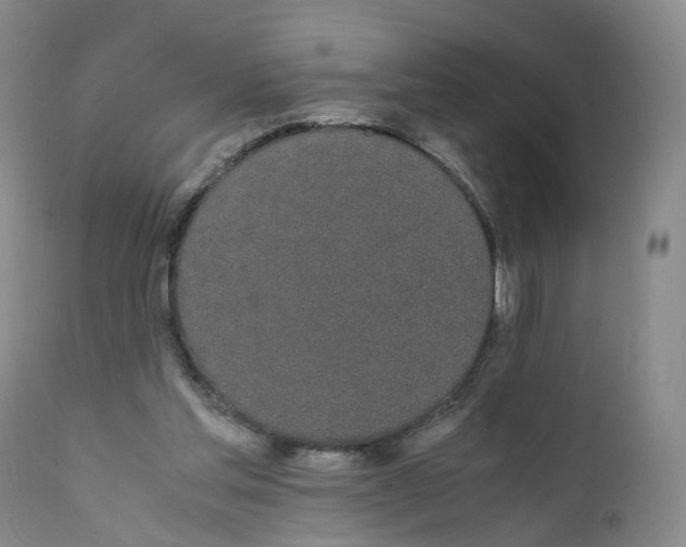 X0000111250205200907231601