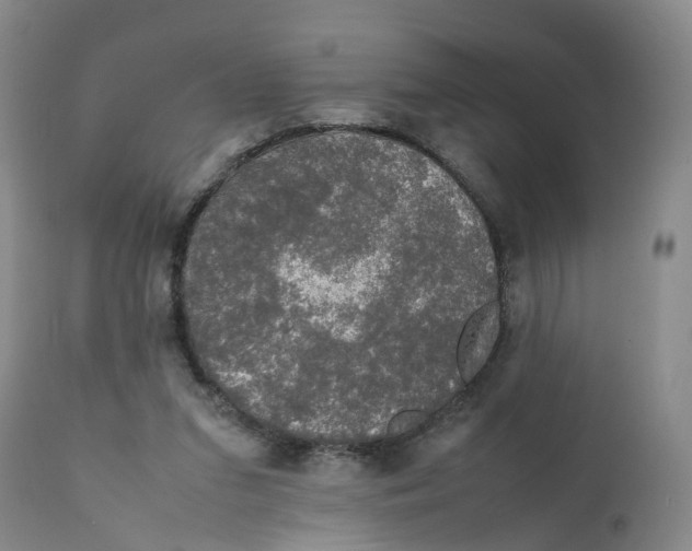 X0000111250207200907231601