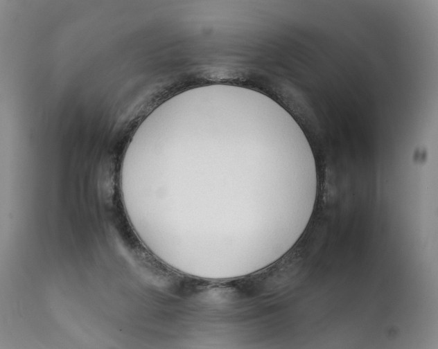 X0000111250210200907231601