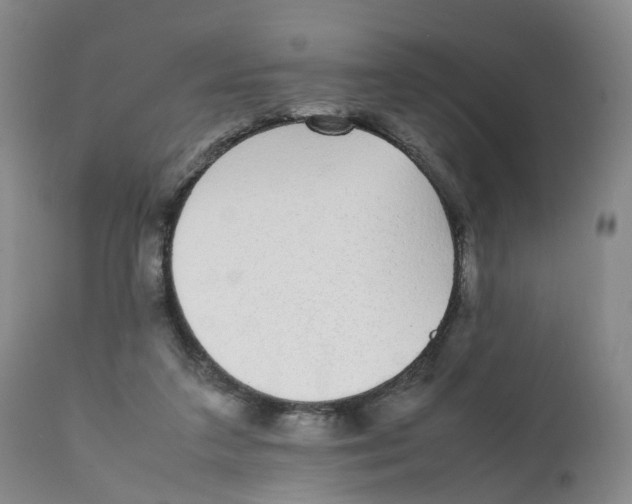 X0000111250211200907231601