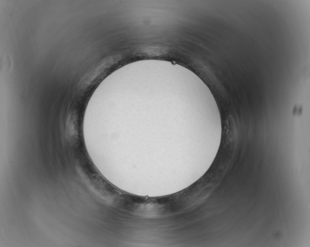 X0000111250212200907231601