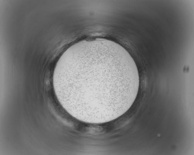 X0000111250215200907231601