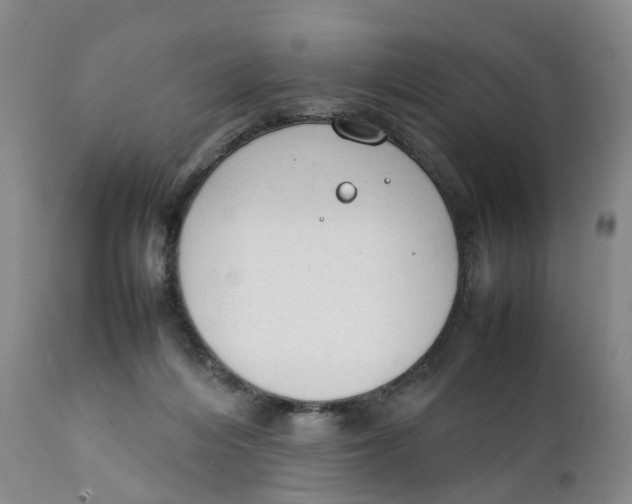 X0000111250216200907231601