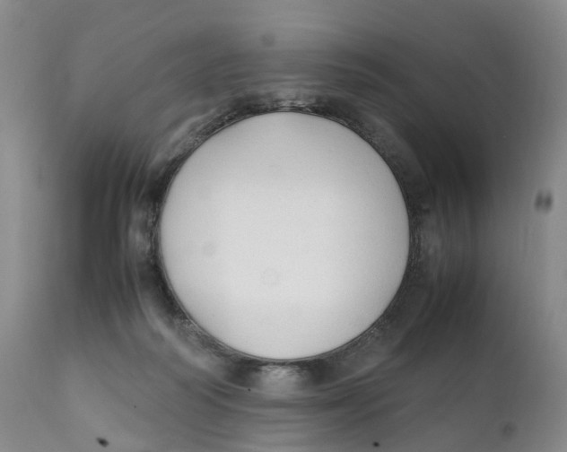 X0000111250218200907231601