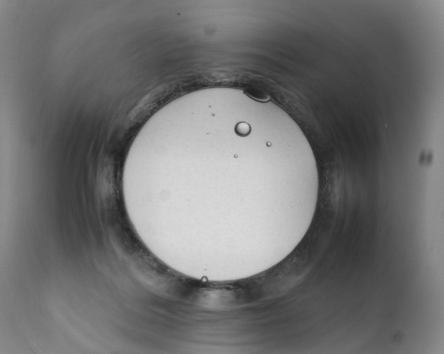 X0000111250220200907231601