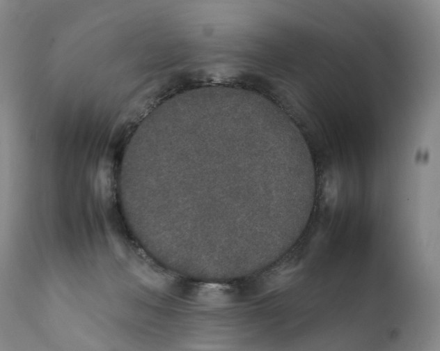 X0000111250222200907231600