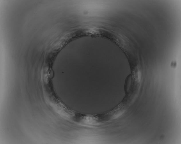 X0000111250223200907231600