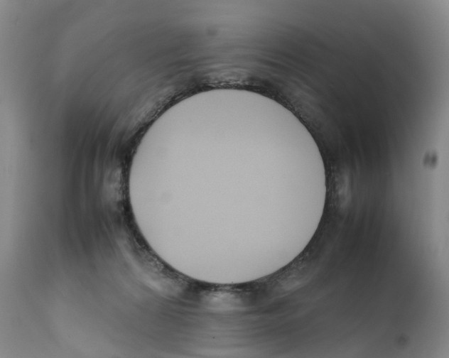 X0000111250224200907231600