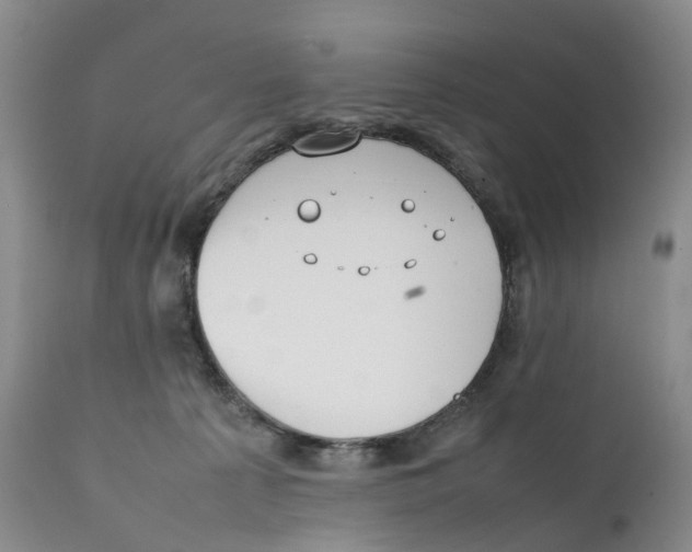 X0000111250225200907231600