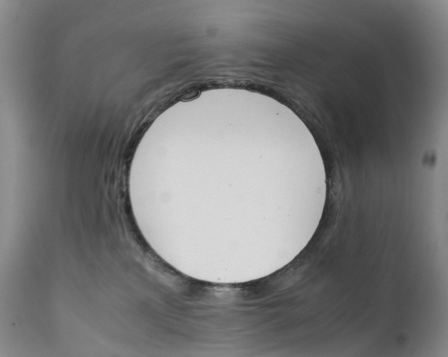 X0000111250233200907231600