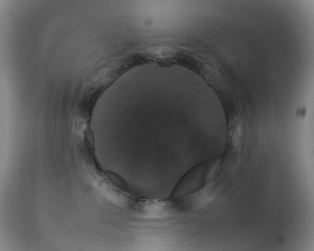 X0000111250235200907231600