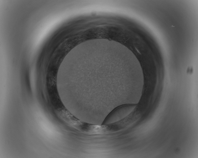 X0000111250239200907231600