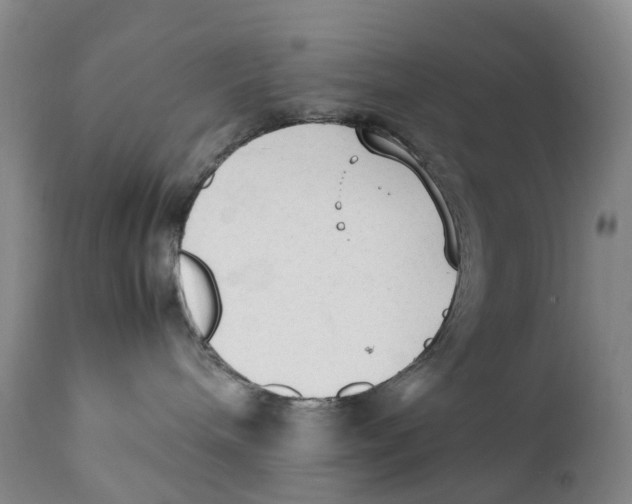 X0000111250240200907231600