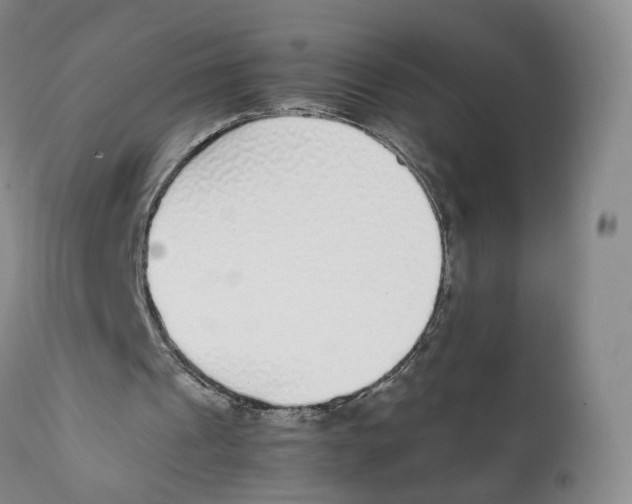 X0000111250241200907231559