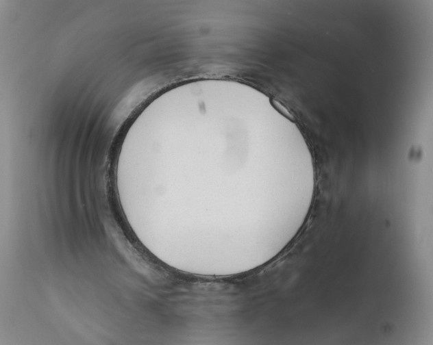 X0000111250242200907231600