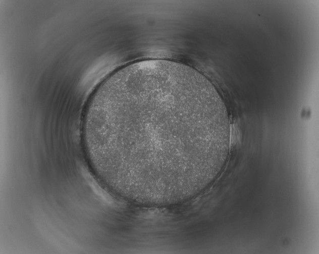 X0000111250243200907231600