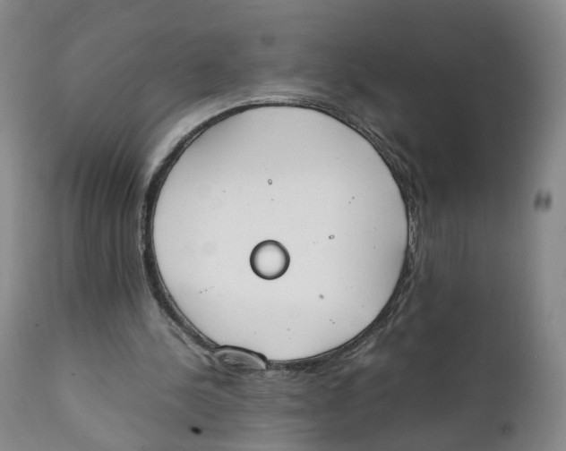 X0000111250244200907231600