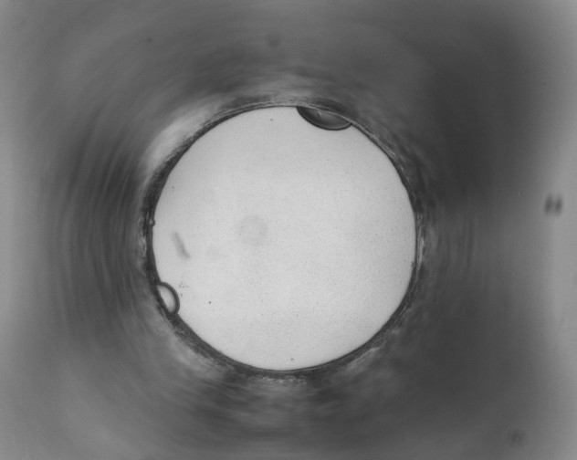 X0000111250245200907231600