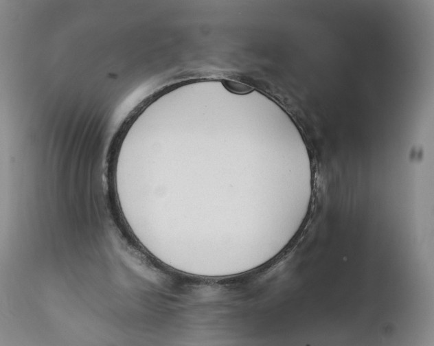 X0000111250246200907231600