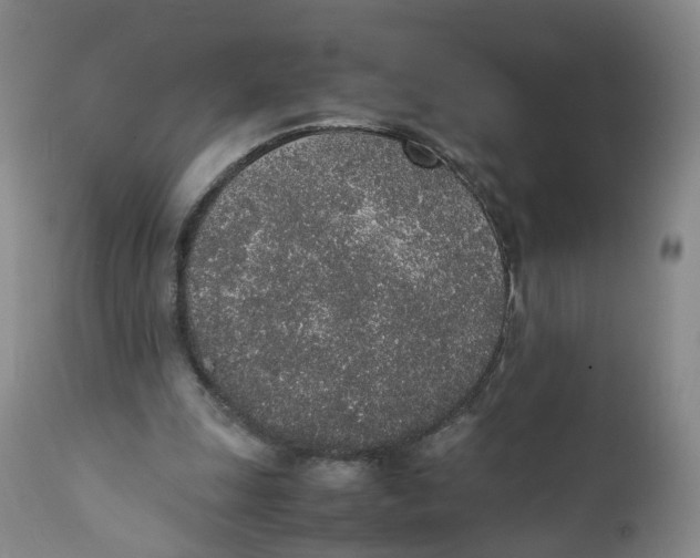 X0000111250247200907231600