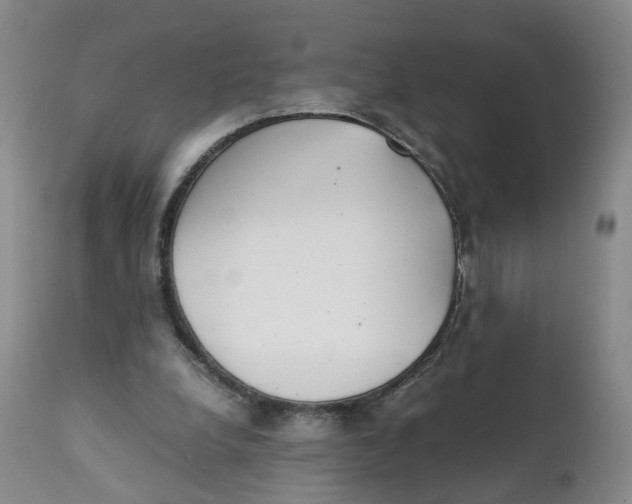 X0000111250248200907231600