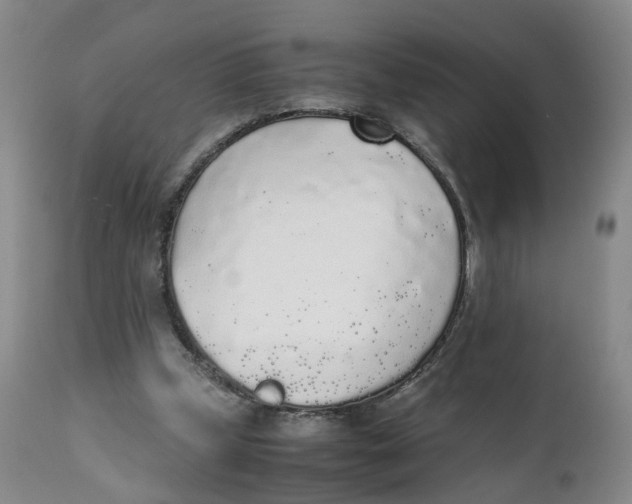 X0000111250249200907231600