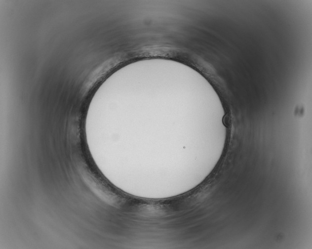 X0000111250250200907231600