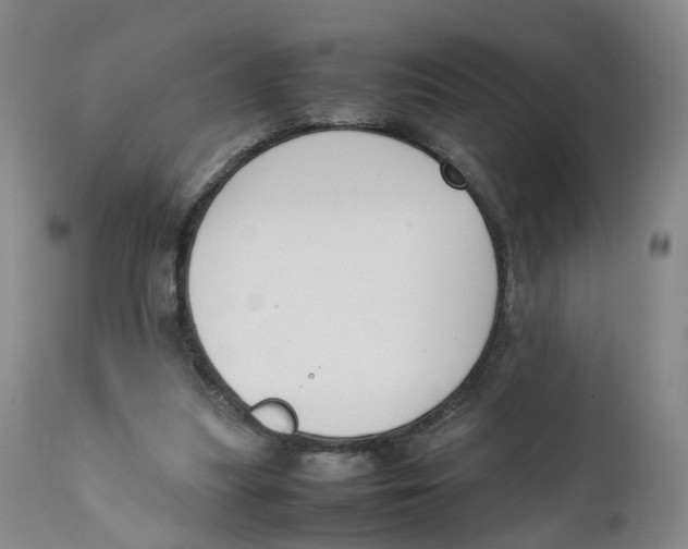 X0000111250251200907231600