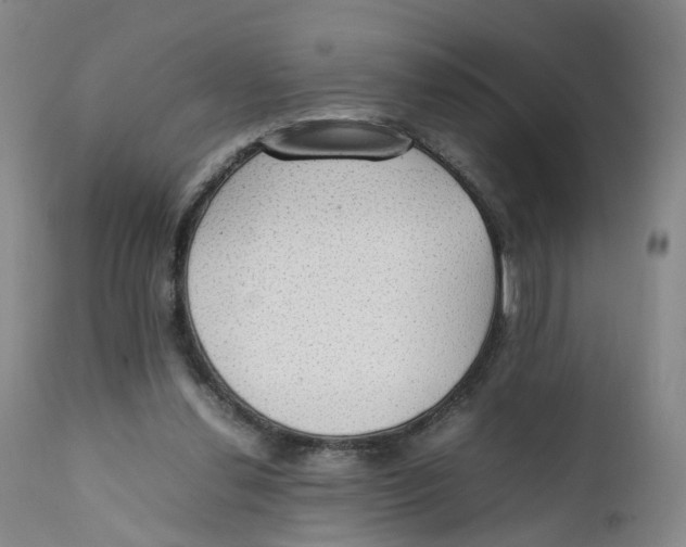 X0000111250252200907231600