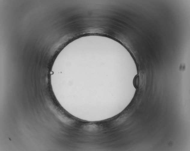 X0000111250253200907231600