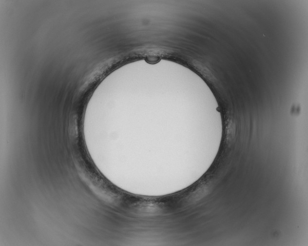 X0000111250254200907231600