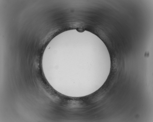 X0000111250255200907231600