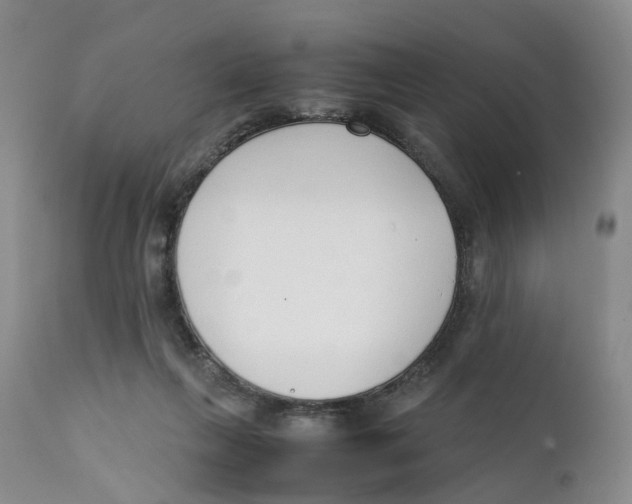 X0000111250263200907231600