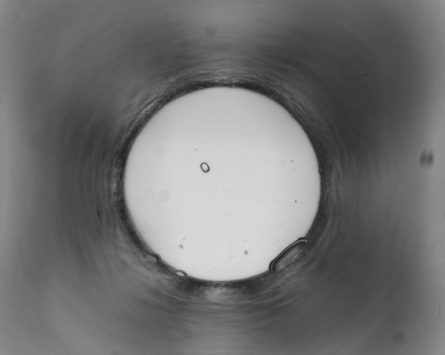 X0000111250268200907231600