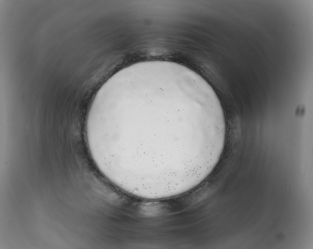 X0000111250269200907231600