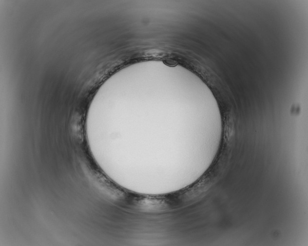 X0000111250270200907231600