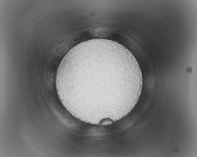 X0000111250271200907231600