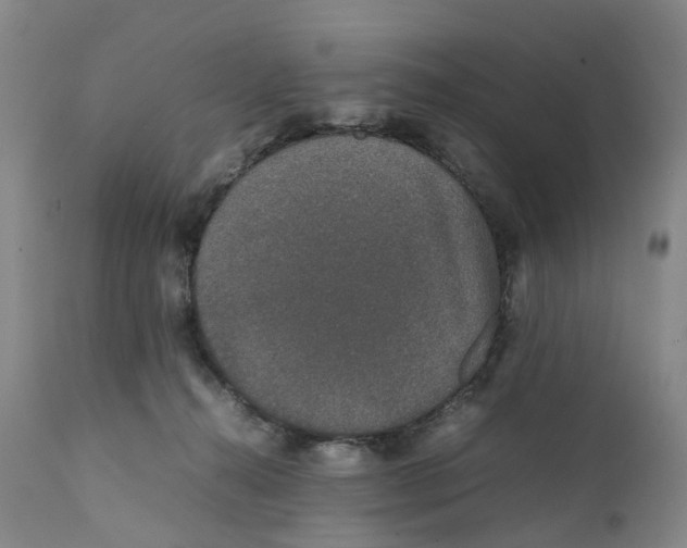 X0000111250272200907231600