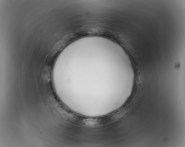 X0000111250273200907231600