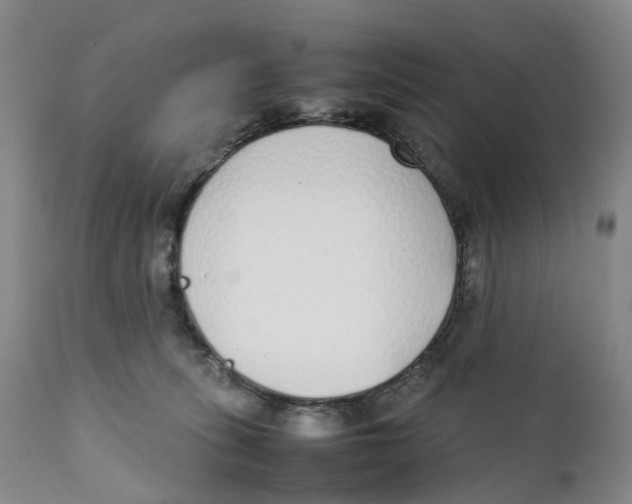 X0000111250275200907231600