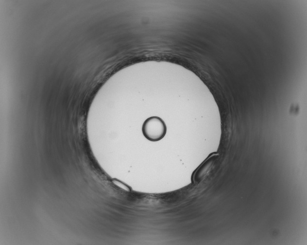 X0000111250276200907231600