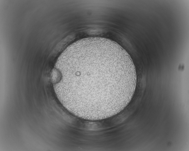 X0000111250277200907231600