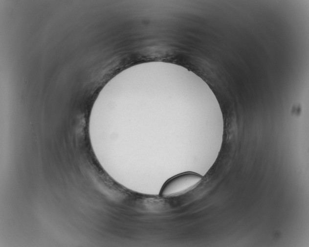 X0000111250279200907231600