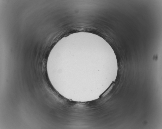 X0000111250280200907231600