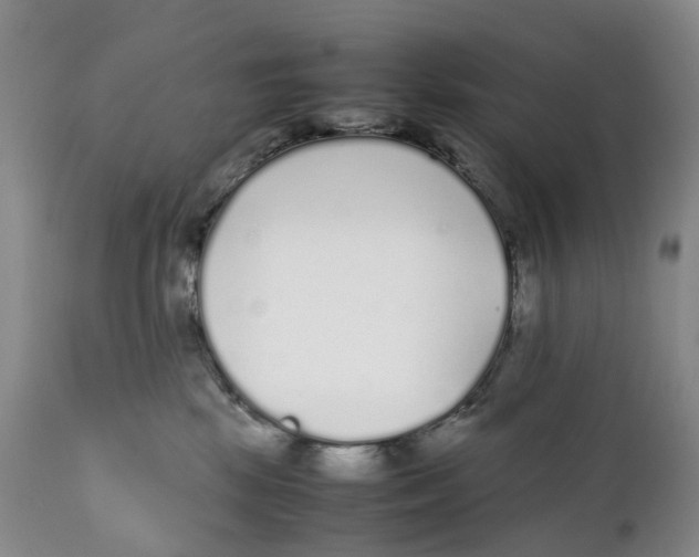 X0000111250281200907231600