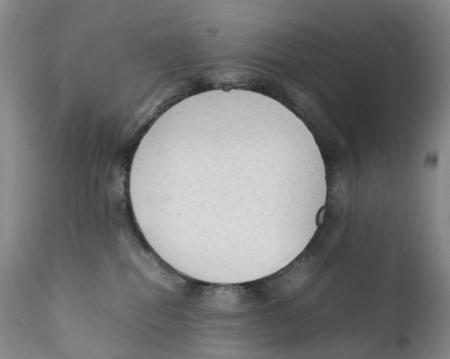 X0000111250282200907231600