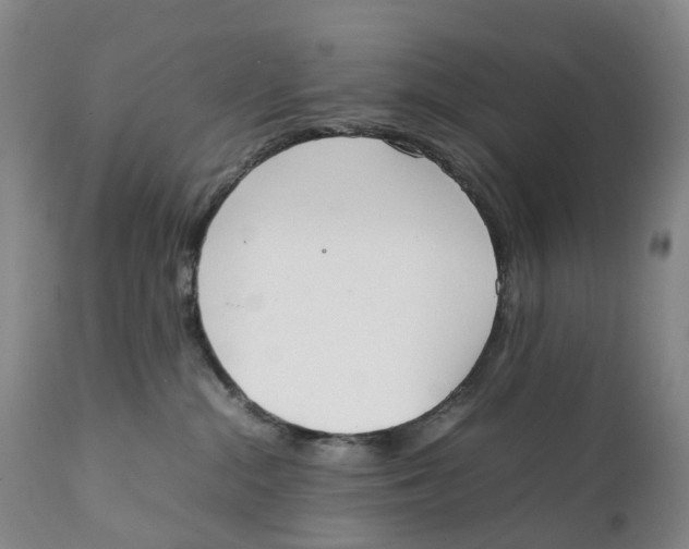 X0000111250284200907231600